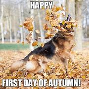 Image result for 1st Day of Fall Meme