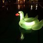 Image result for Swan Float Poolcandy