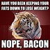 Image result for Soon Tiger Meme