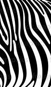 Image result for Printable Zebra Stripes