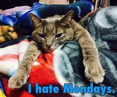 Image result for Monday Beauty Memes