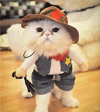 Image result for Cute Cat and Dog Costumes