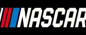 Image result for Racing Company Logos