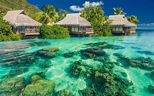 Image result for Green Lagoon Wallpaper