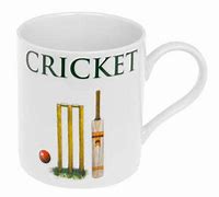 Image result for Leonardo Cricket Mug