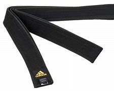 Image result for Adidas Martial Arts