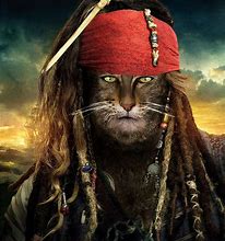 Image result for Cat Pirate Movie