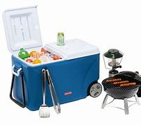 Image result for Ice Chests and Coolers On Wheels