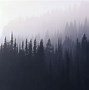 Image result for Dark Misty Forest
