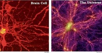 Image result for Universe Compared to Brain