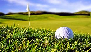 Image result for Golf Event