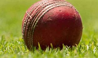 Image result for Cricket Ball Guyanan