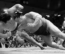 Image result for Sumo Throw Wrestling