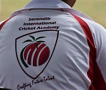 Image result for International Cricket Academy