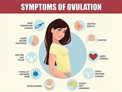 Image result for Ovulation Signs