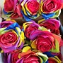 Image result for Rainbow Colored Artificial Roses