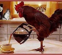 Image result for Rooster Coffee Wall Art
