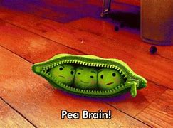 Image result for Pea Brain Funny