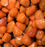 Image result for Pebbles for Aquarium