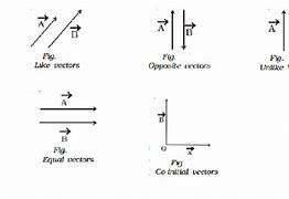 Image result for Types of Vectors