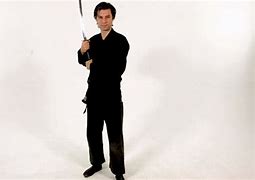 Image result for Samurai Sword Stance