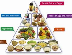 Image result for Basic Food Pyramid