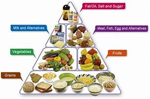 Image result for Different Types of Diets