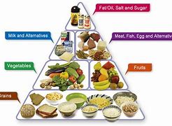 Image result for Nutrition Diet