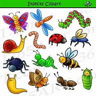 Image result for Garden Bugs Clip Art