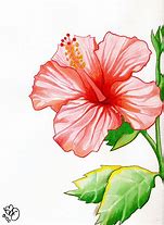 Image result for art drawing flower