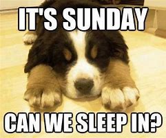 Image result for Funny Sunday Dog Memes