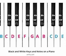 Image result for Standard Piano Keyboard with Notes