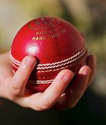 Image result for First Cricket Ball
