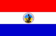 Image result for Paraguay Flag