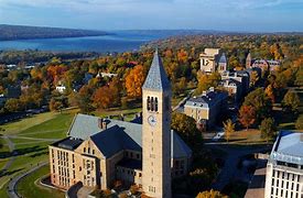 Image result for Cornell University