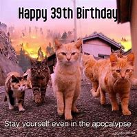 Image result for Funny Happy 39th Birthday Husband Meme