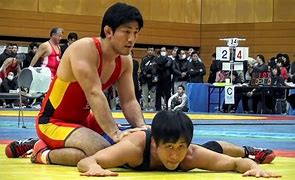 Image result for Japan Wrestling Companies