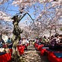Image result for Sakura City Japan