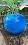 Image result for Apple and Ball with Different Colours