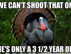 Image result for Funny Turkey Hunting