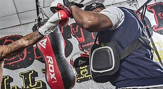 Image result for Home Boxing Training Gear