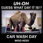 Image result for Funny Car Wash Memes