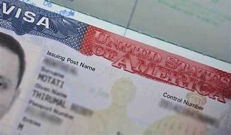 Image result for Us Tourist Visa Number