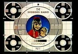 Image result for Sverige Radio TV1