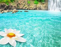 Image result for Turquoise Flowers Wallpaper Background
