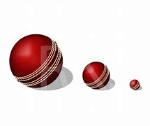 Image result for Cricket Sign