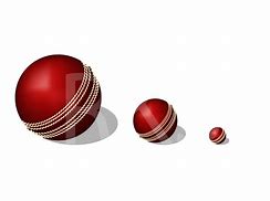 Image result for Cricket Bat Ball