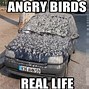 Image result for Angry Birds Funny Memes