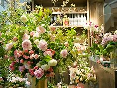 Image result for Trashed Flower Shop