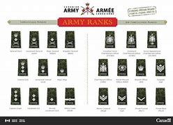 Image result for Canadian Army Rank Insignia